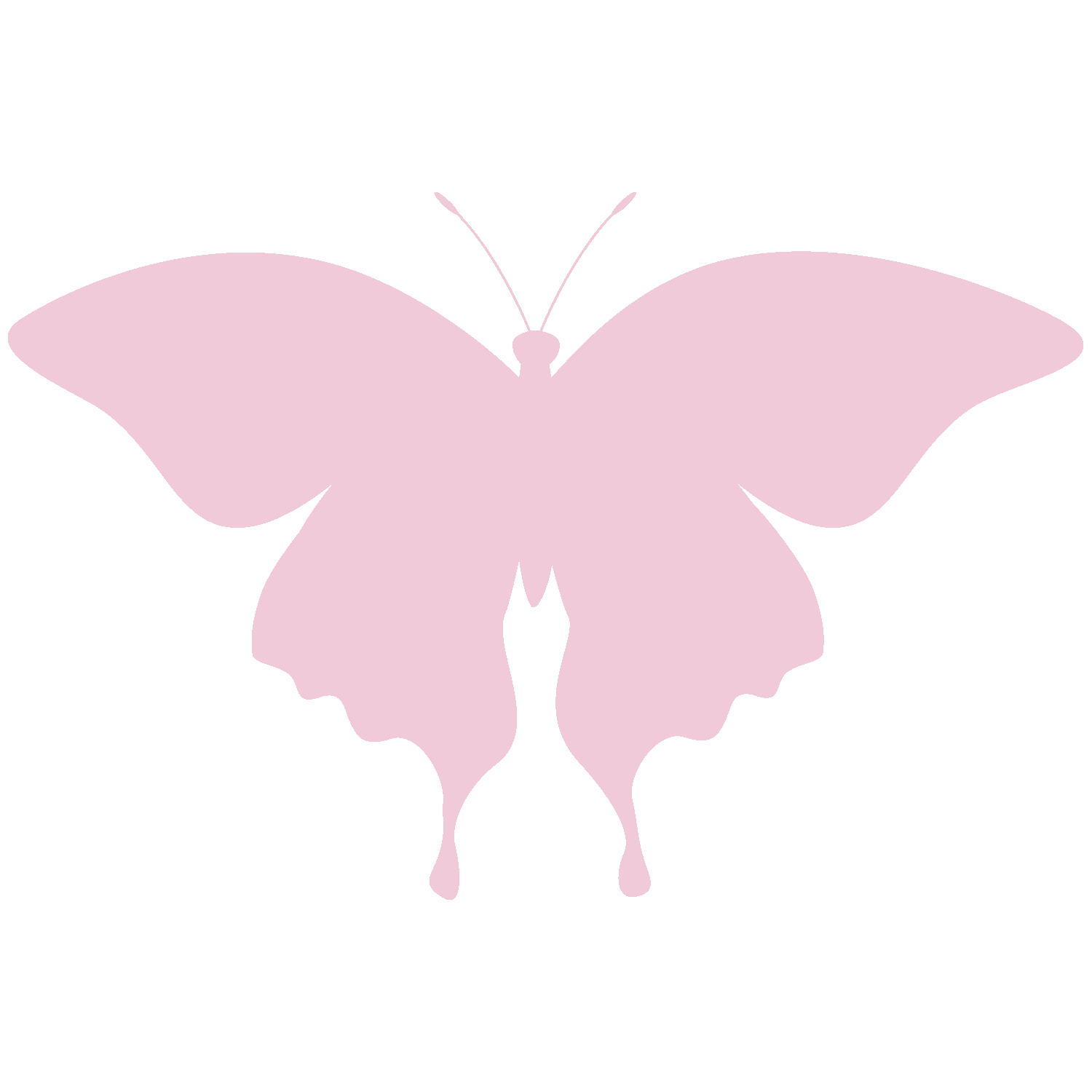 bookbutterflypink