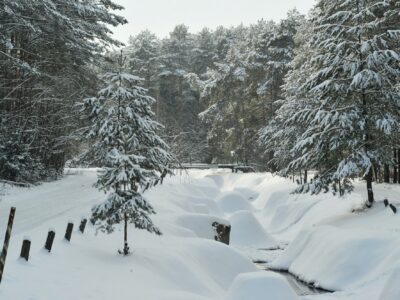 Winter landscape of a mountain river in the snow, around the forest