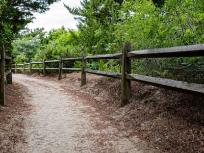 wooden fence and walking path to the ocean beach at Cape May, NJ, USA