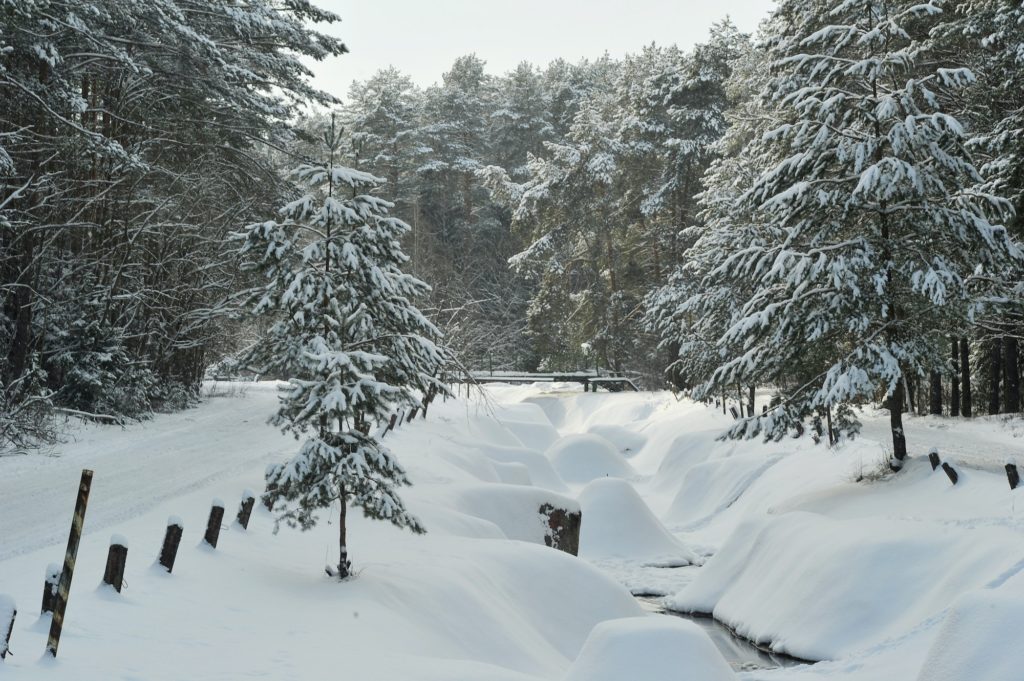 Winter landscape of a mountain river in the snow, around the forest